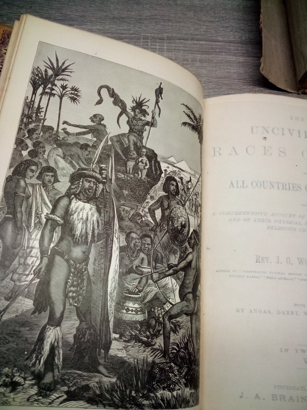Controversial 1877 Uncivilized Races of Men in All Countries vol 1&2 Rev JG Wood
