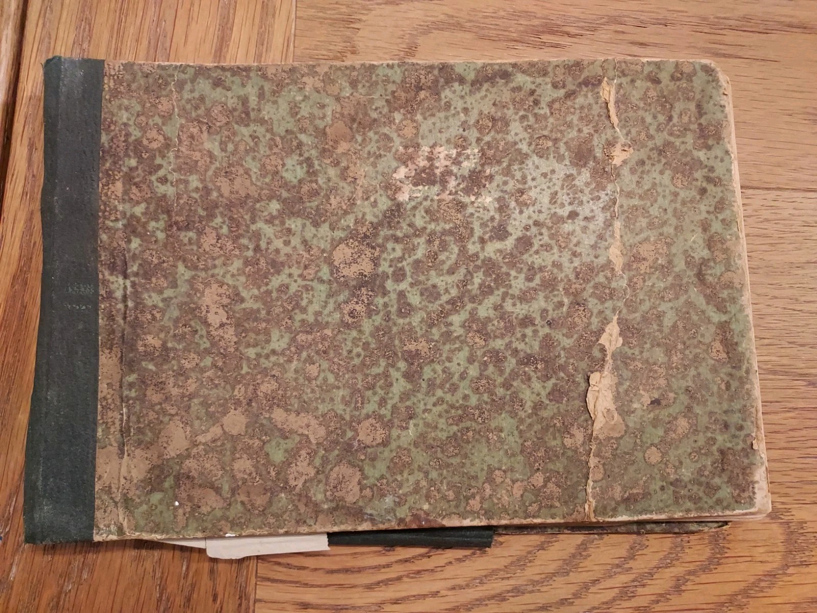 1887 Antique Victorian Sketchbook Germantown PA Estelle Woodward Philadelphia