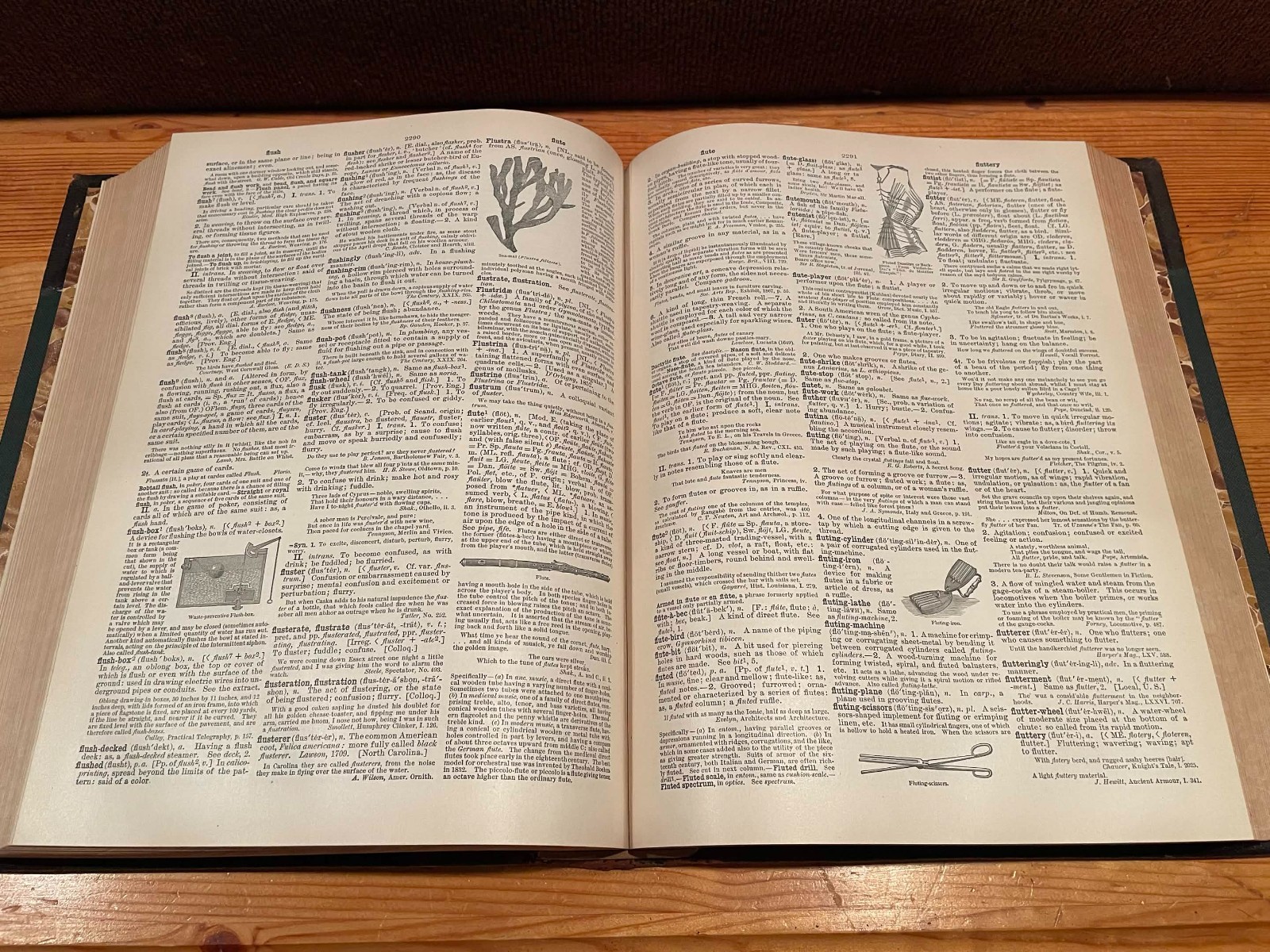 Century Dictionary And Cyclopedia Volume 3 (Droop E.F.G) Antique 1904 Leather