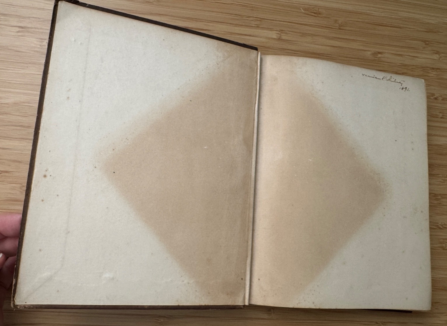 A Manual of Wood Carving Leland Holtzapffel 1891 1st Ed Sweep Cut Tools Patterns