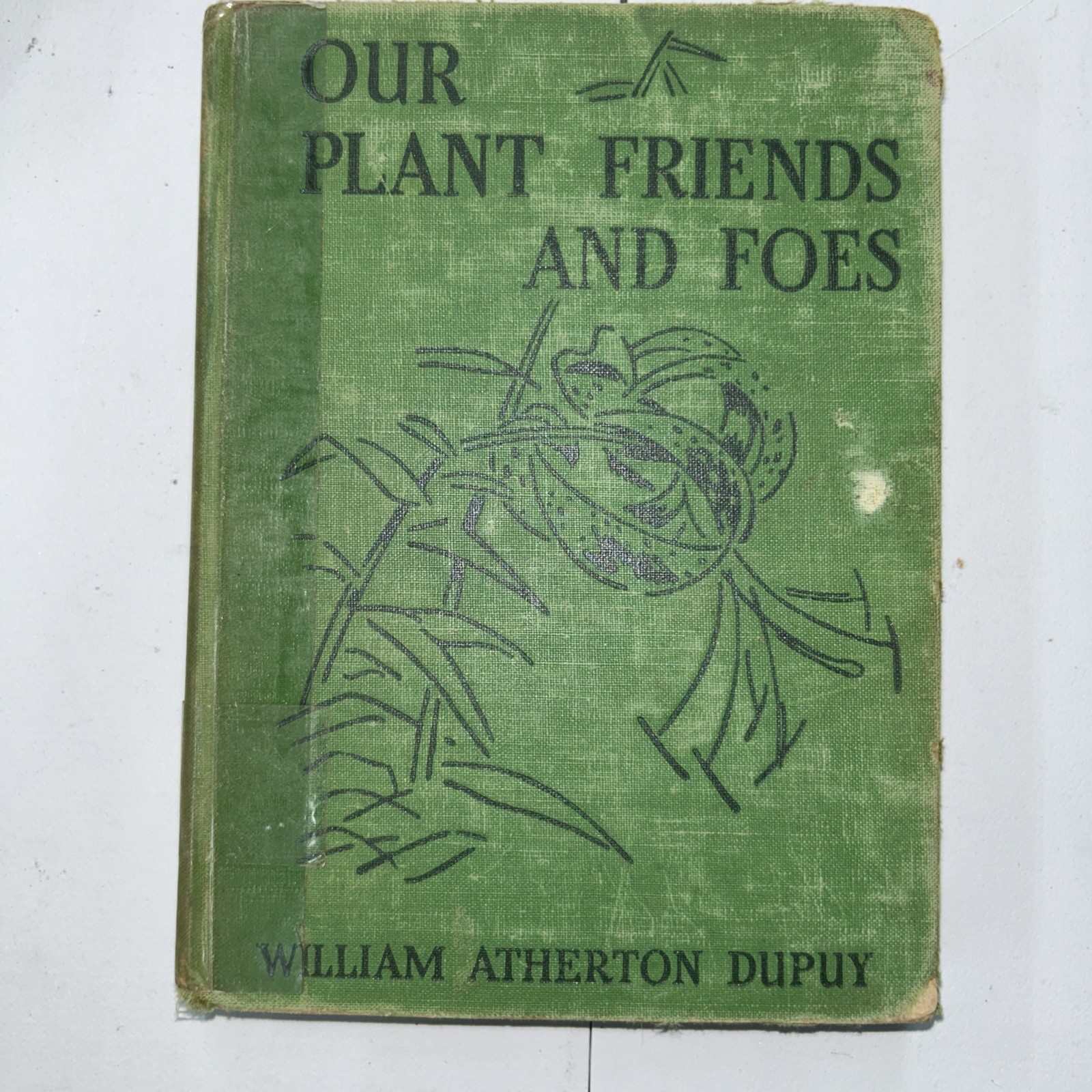 Our Bird Friends And Foes William Atherton Dupuy 1948 John C. Winston Company