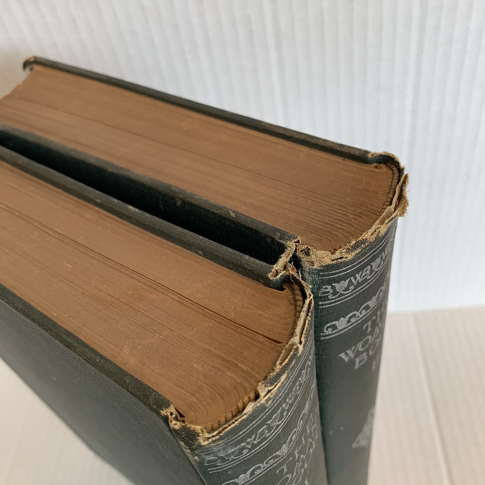 The Woman’s Book Advice Instruction Volumes 1 and 2 Scribners 1894 Americana