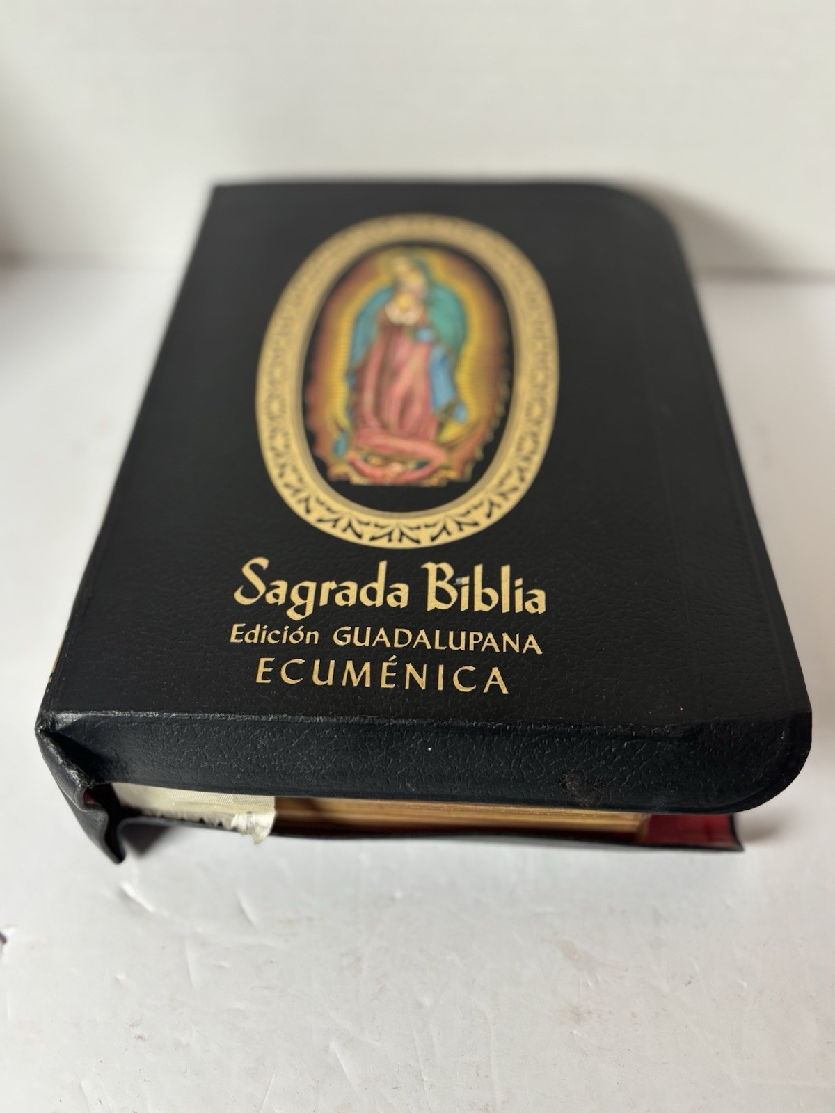 BEAUTIFUL Sagrada Biblia Edicion Guadalupana Ecumenica Bible EUC