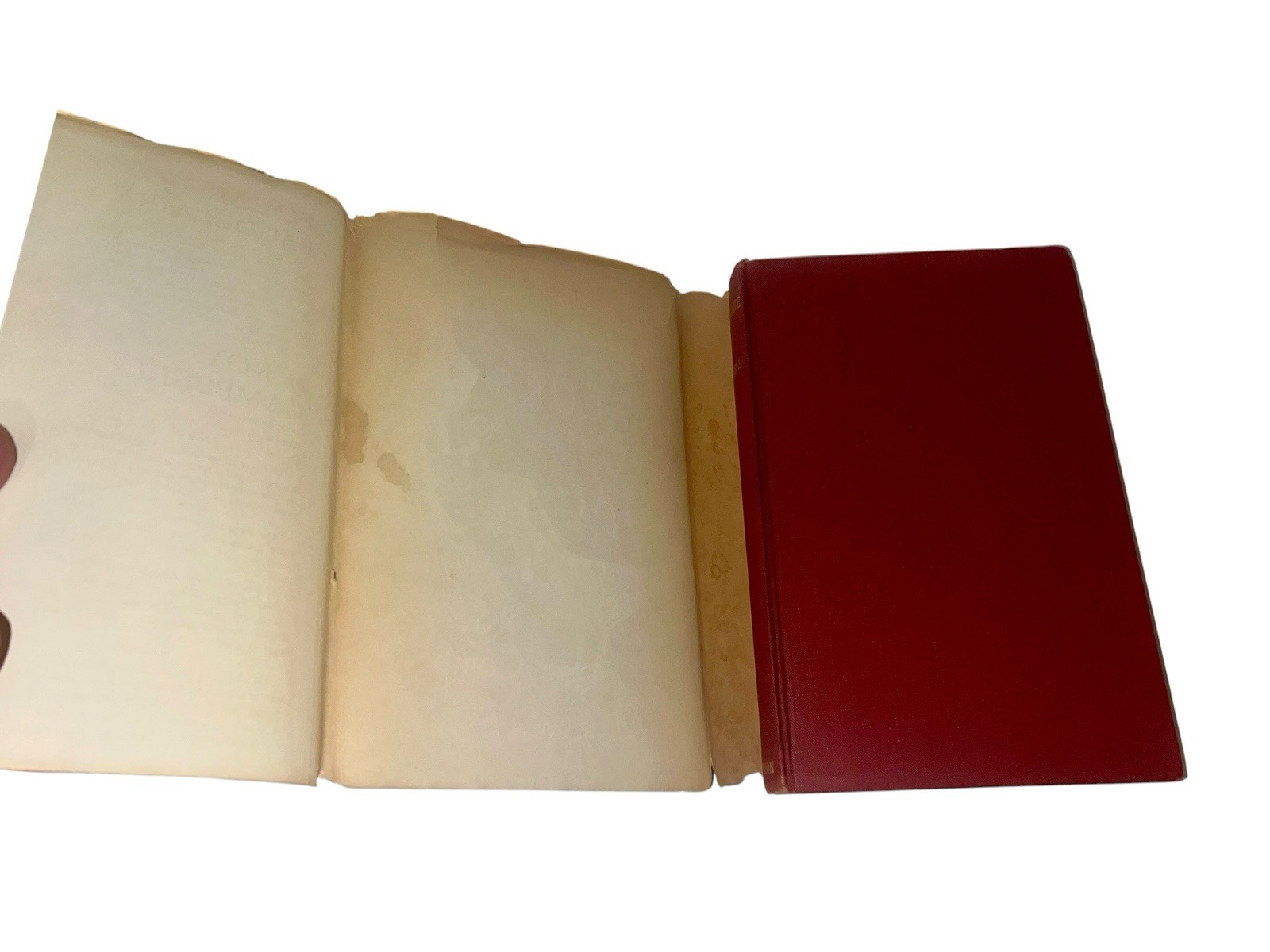 FLOWERS OF EVIL Baudelaire Les Fleurs du Mal 1st Ed Eng Trans Roy Campbell 1953