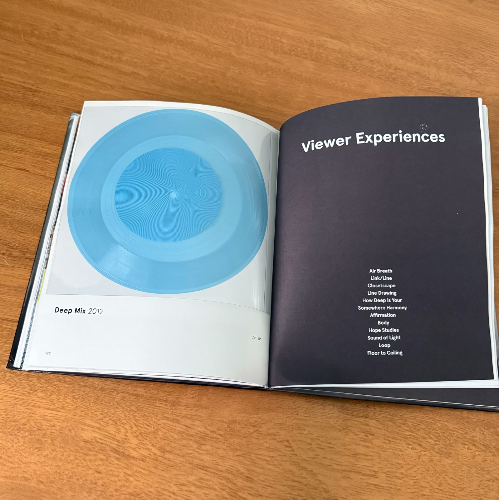 Julianne Swartz: How Deep Is Your (2012 Hardcover Art Book)