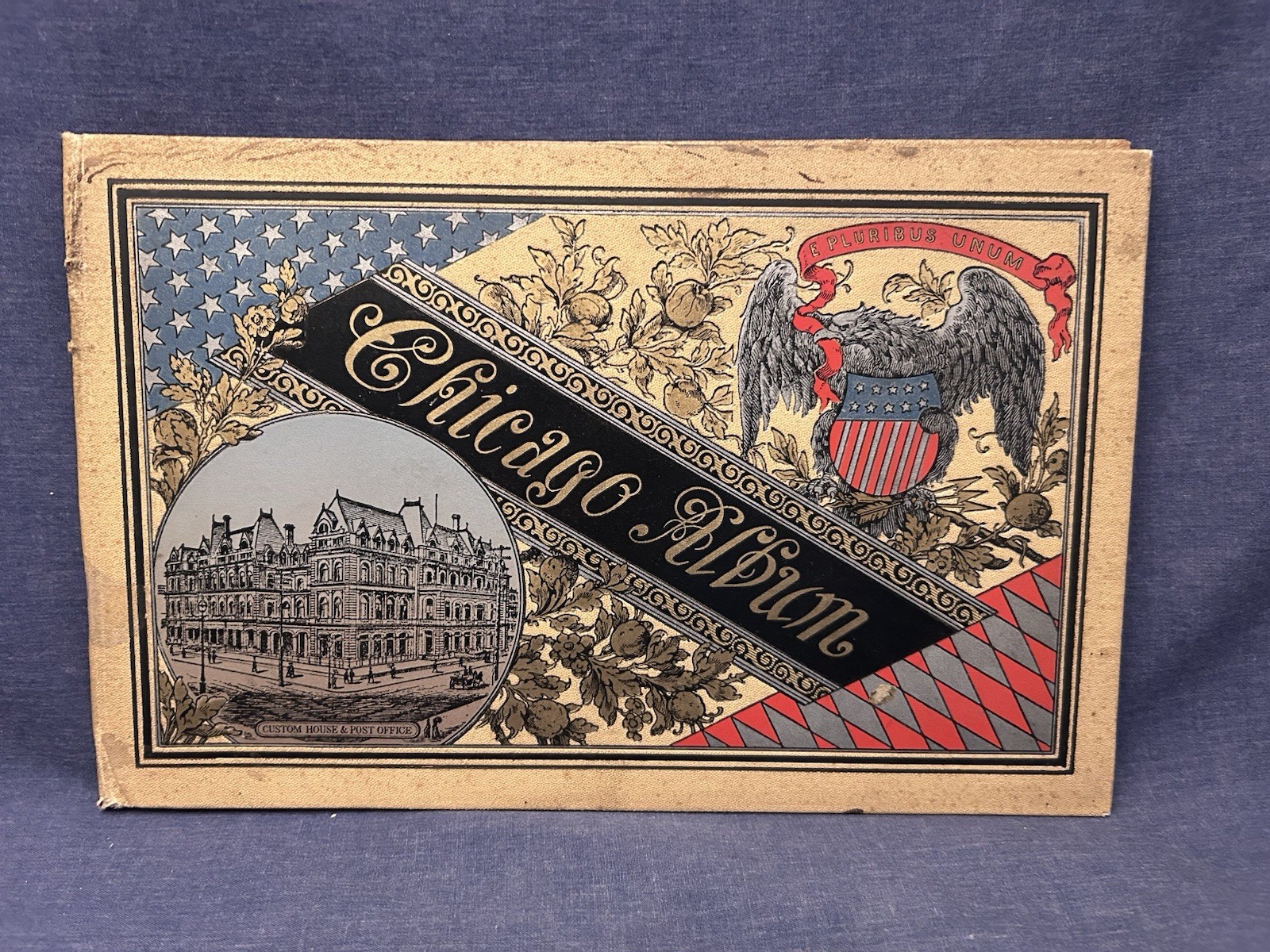 1890s CHICAGO ALBUM World’s Fair? Views Architecture Waterfront HC Rare Eagle