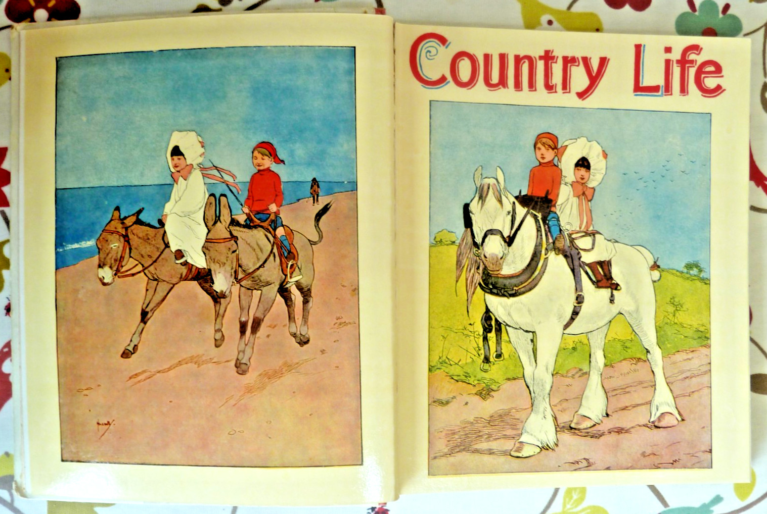 The Volunteers Children’s Book 1905 Thomas Nelson Pictorial Boards
