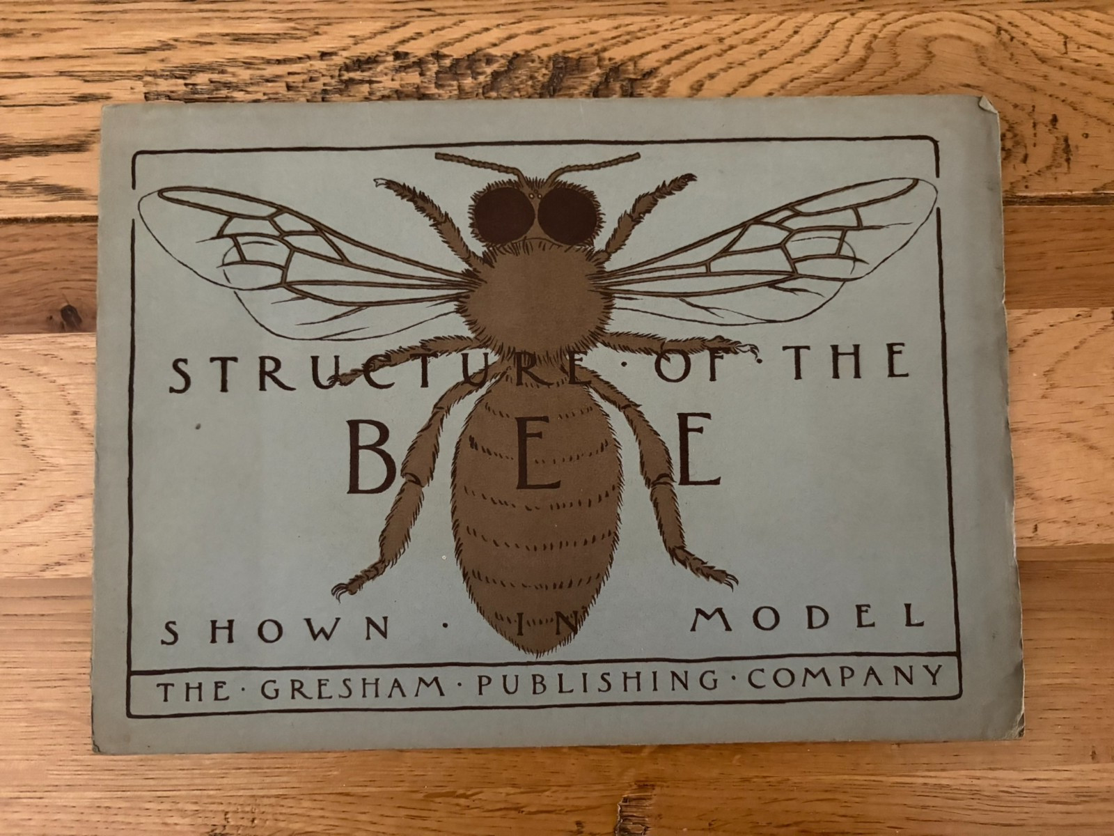 Structure of the Bee Shown in Model Printed Bavaria Fold Out Gresham Publishing
