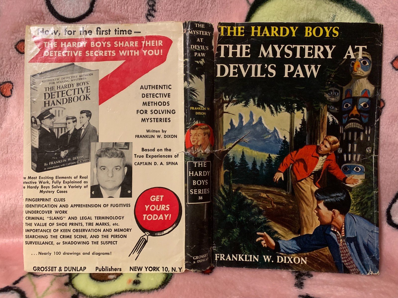 First Edition 1959 HARDY BOYS #38 „The Mystery at Devil’s Paw“ w/Dust Jacket