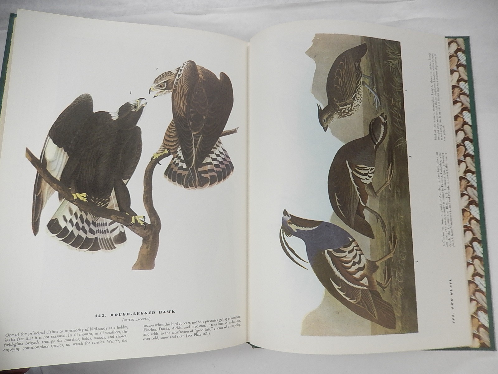 The Birds of America by John James Audubon, 1962, 4th Printing, VG, UNMARKED