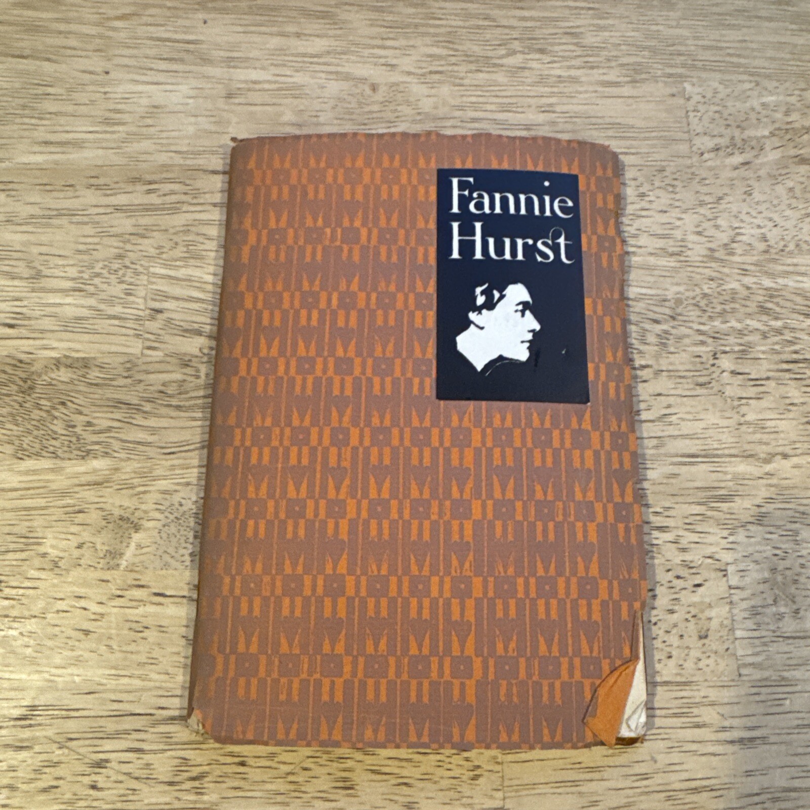 Fannie Hurst A Biographical Sketch Critical Appreciation 1928 Paper book