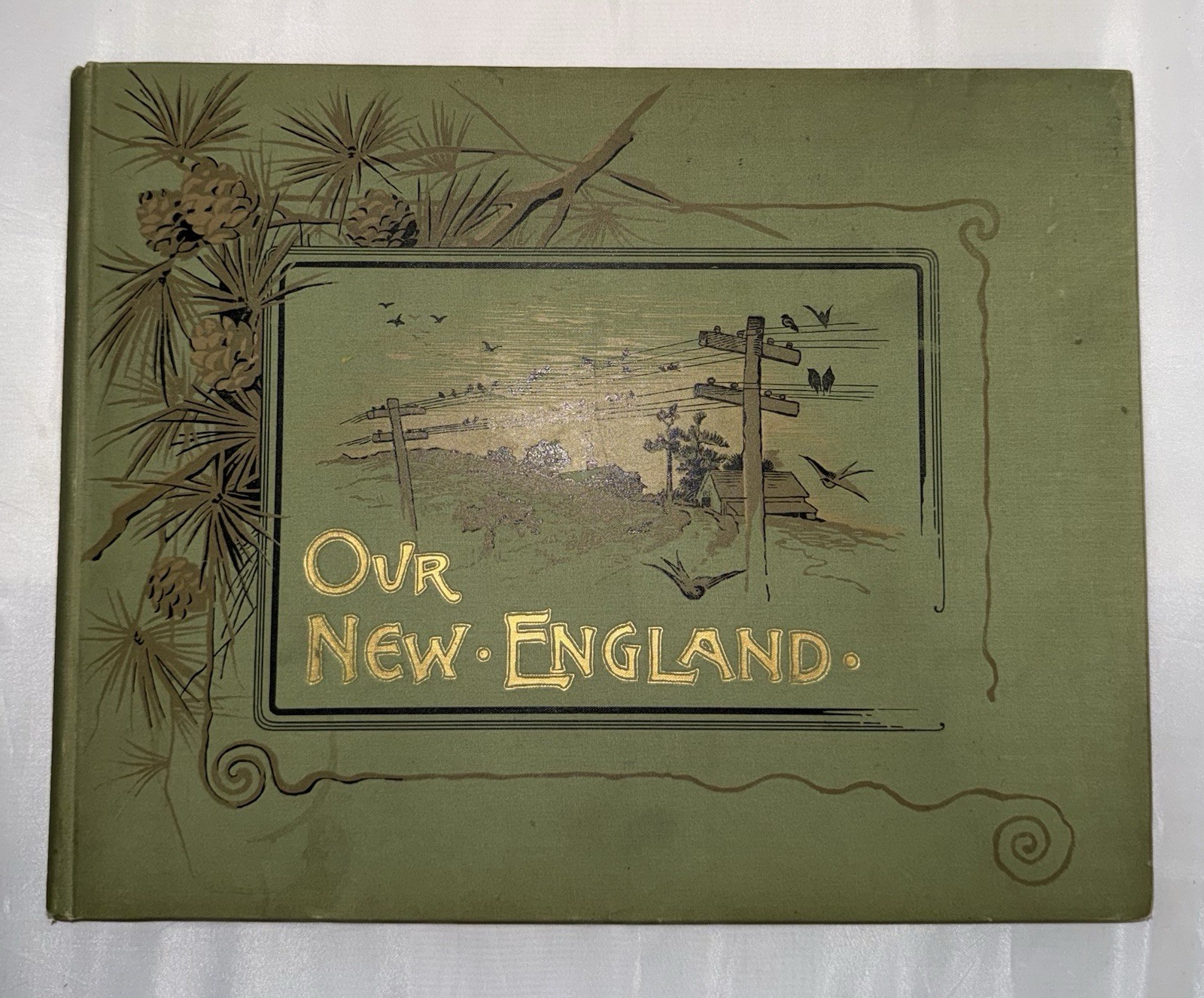 Our New England 1890 – First Edition – Illustrated Nature Scenes Antique Book
