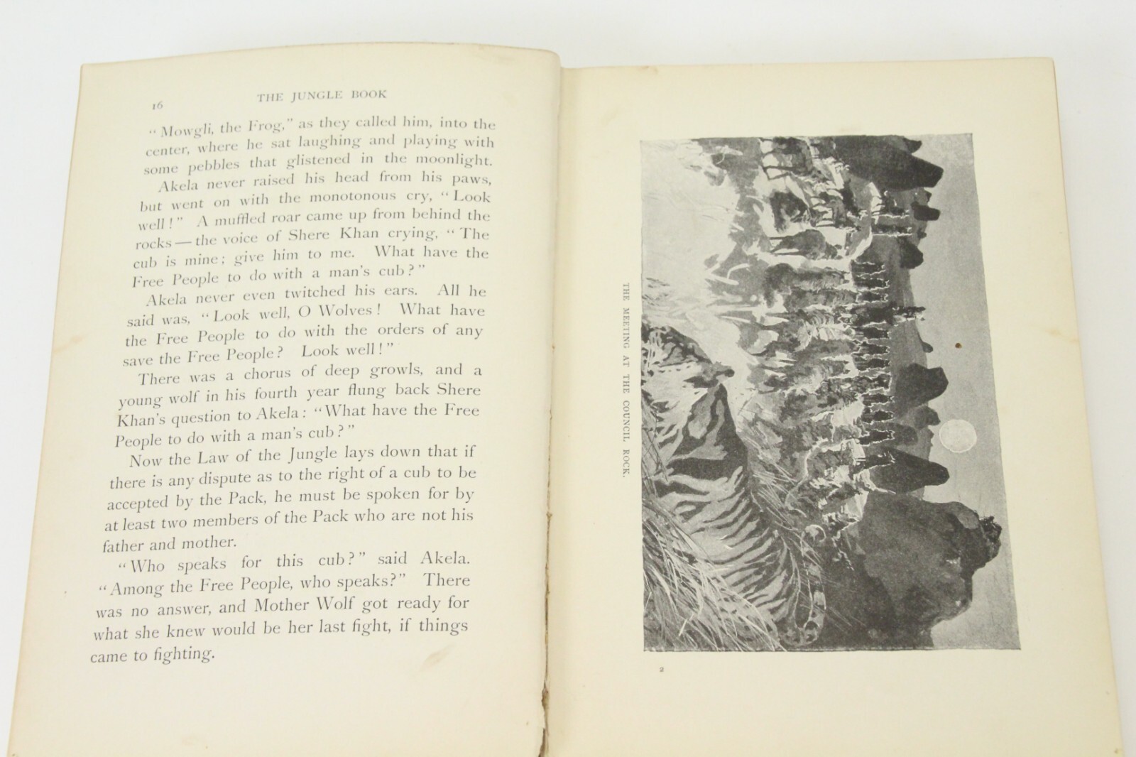 The Jungle Book RUDYARD KIPLING Early Reprint 1899 7 3/8″ x 5″ x 1″ Cloth HC