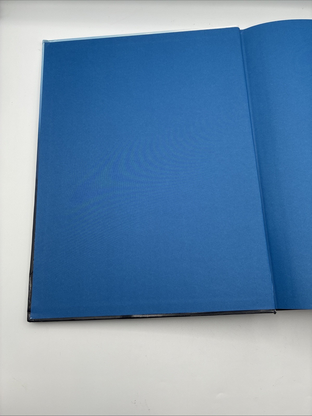 Michael Muller Sharks 2019 Hardcover Taschen Publishers Stunning Shark Photos