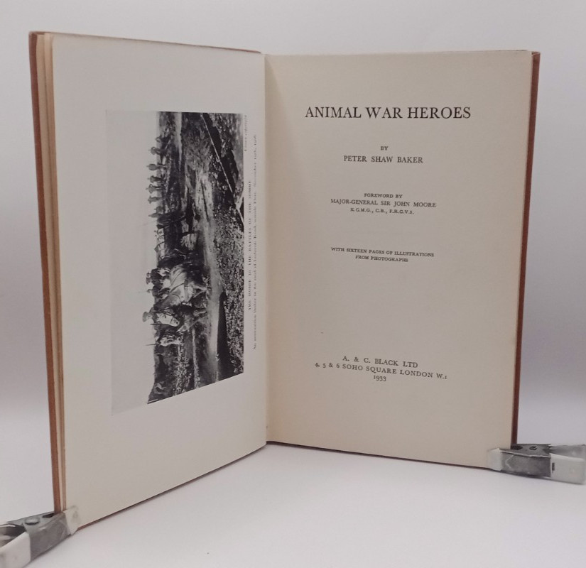 Animal War Heroes Peter Shaw Baker First Great World War 1 WW1