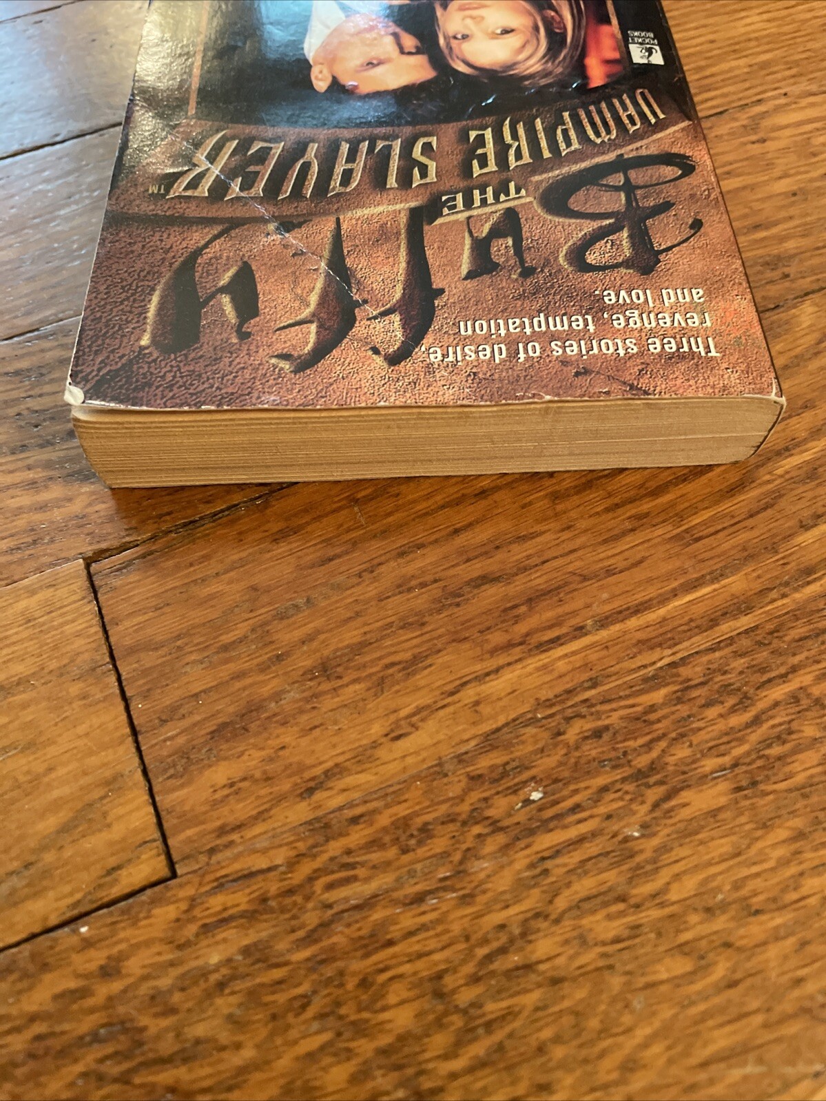 BUFFY THE VAMPIRE SLAYER Angel Chronicles #1 Nancy Holder (1998) PB TV Paperback