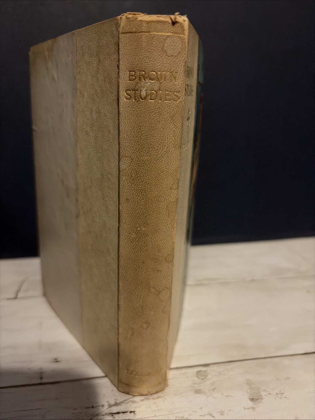 Brown Studies Or Camp Fires And Morals George H Hepworth 1907 E P Dutton