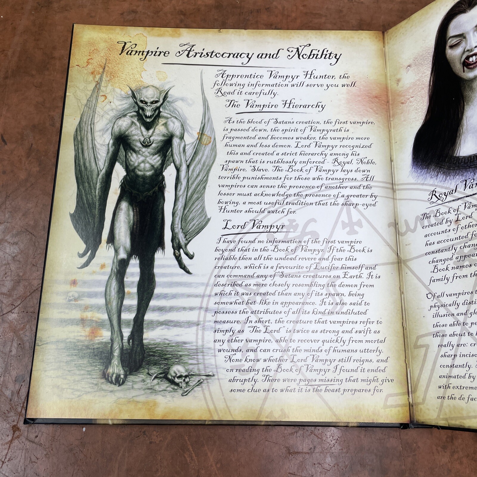 The Vampire Hunter’s Handbook by Raphael Van Helsing Barnes & Noble Occult Book