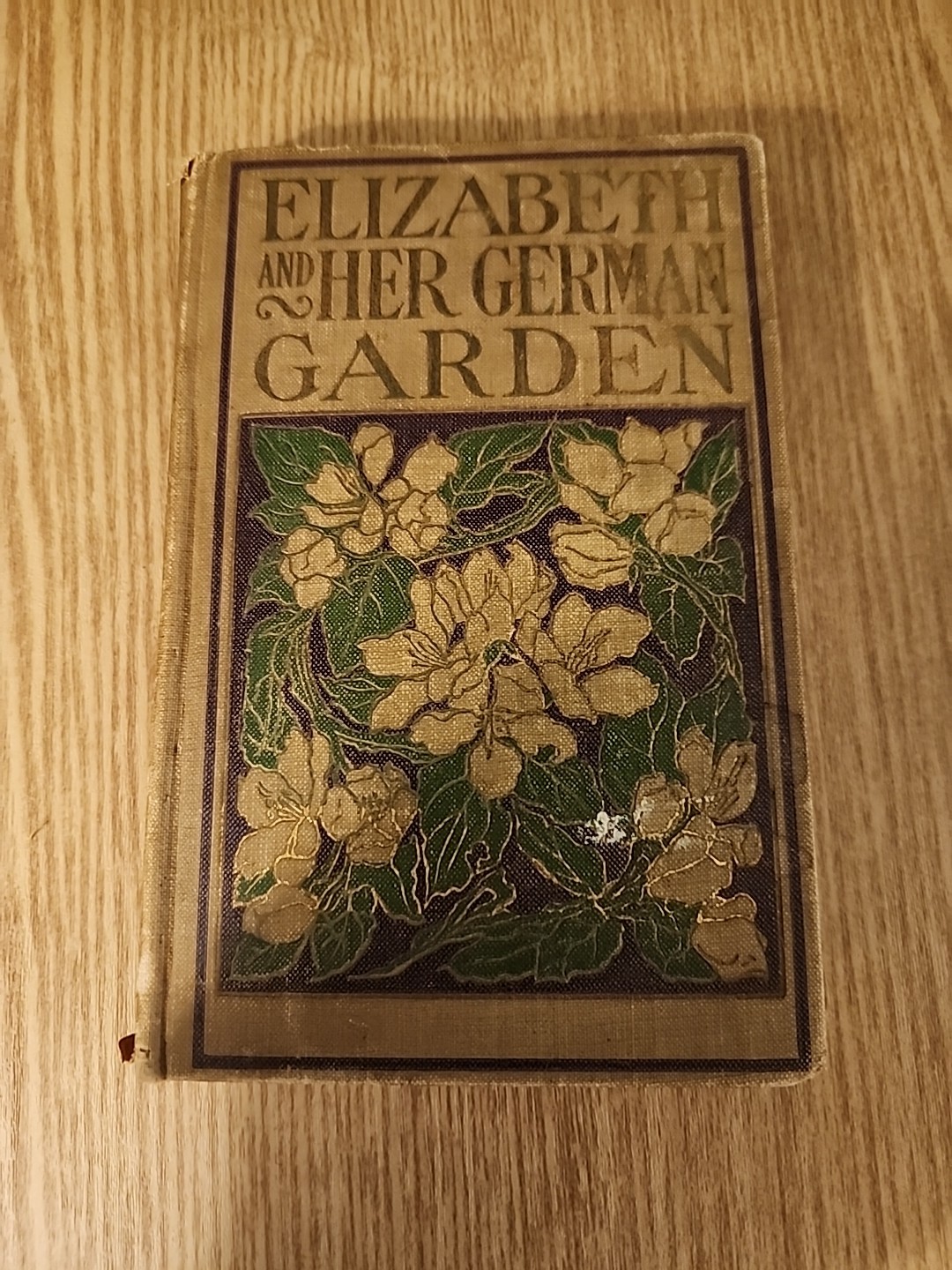Elizabeth and Her German Garden Book