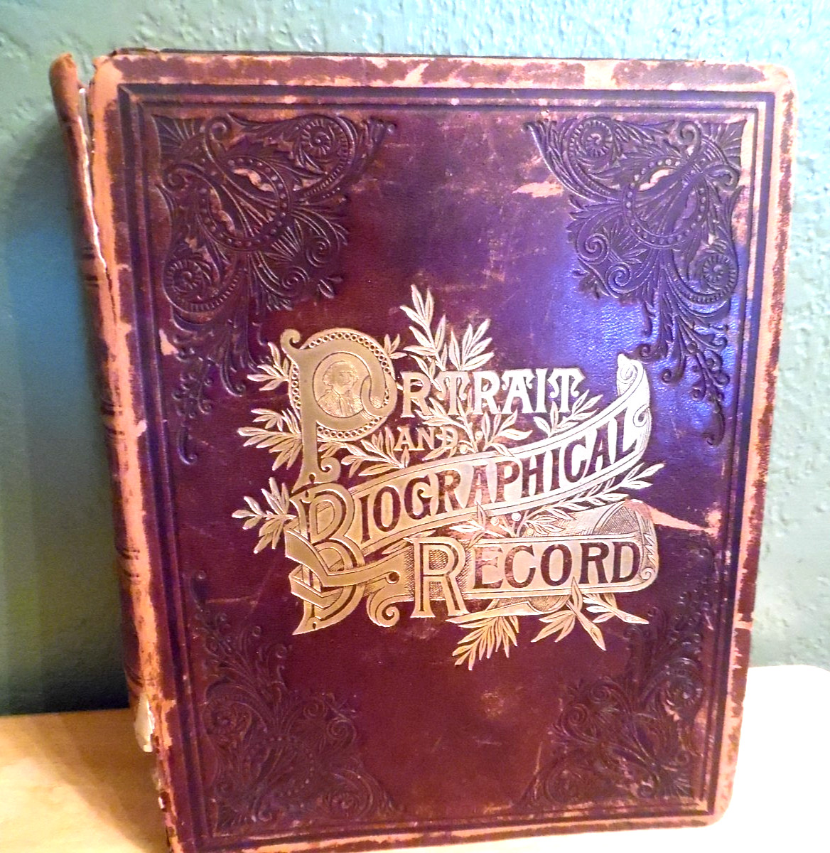 ANTQ 1894 HRDCVR PORTRAIT AND BIOGRAPHICAL RECORD OF DUPAGE & COOK COUNTIES ILL