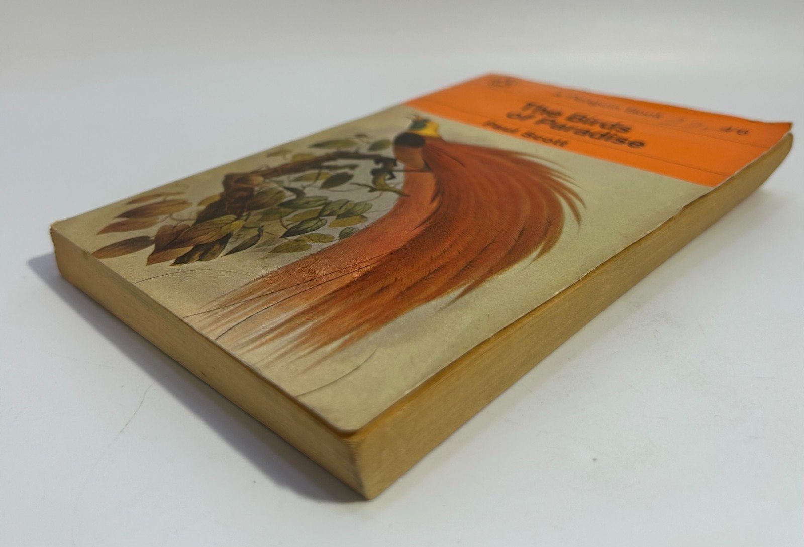 Vintage ‚The Birds of Paradise‘ Paul Scott Paperback Book 1964 Penguin Book