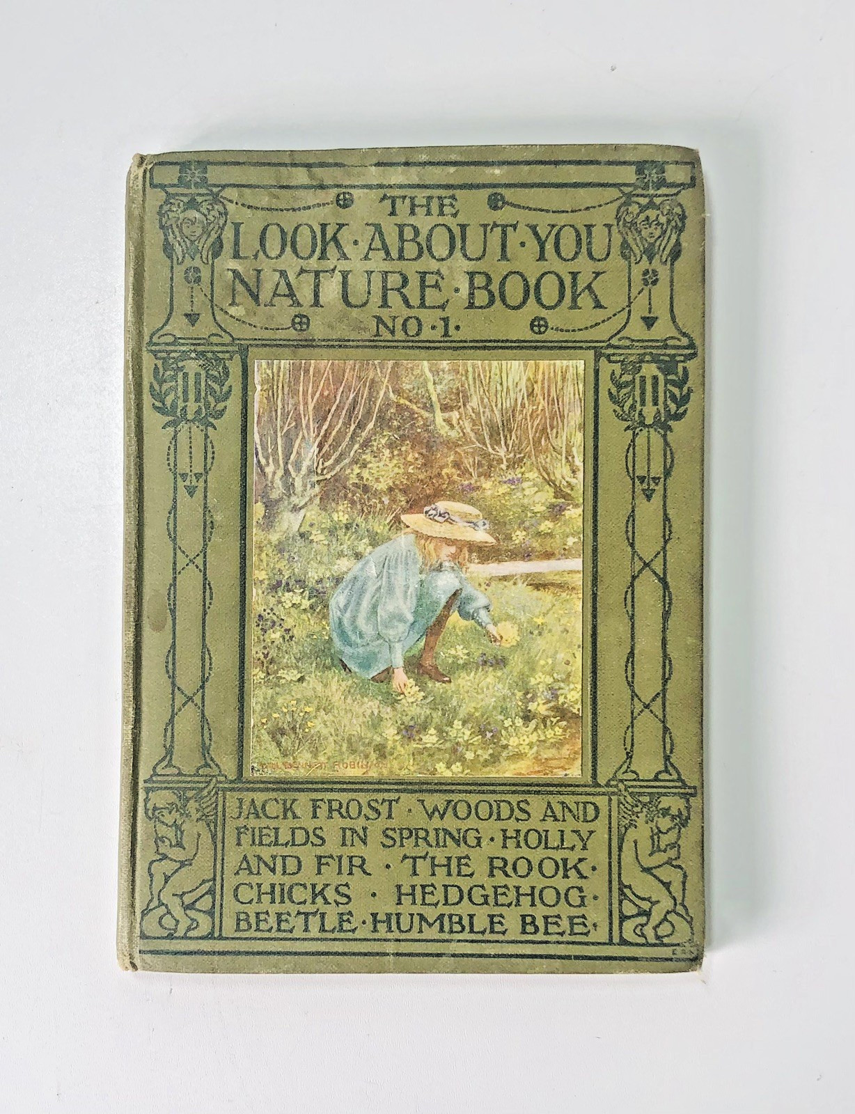 The Look About You Nature Book No. 1, Children’s Nature Study Hardback Book
