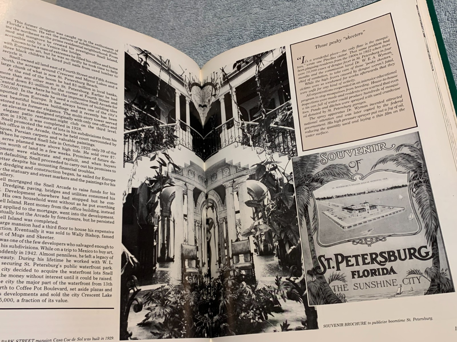 Florida’s Pinellas Peninsula (1984 Illustrated Hardcover) Florida History