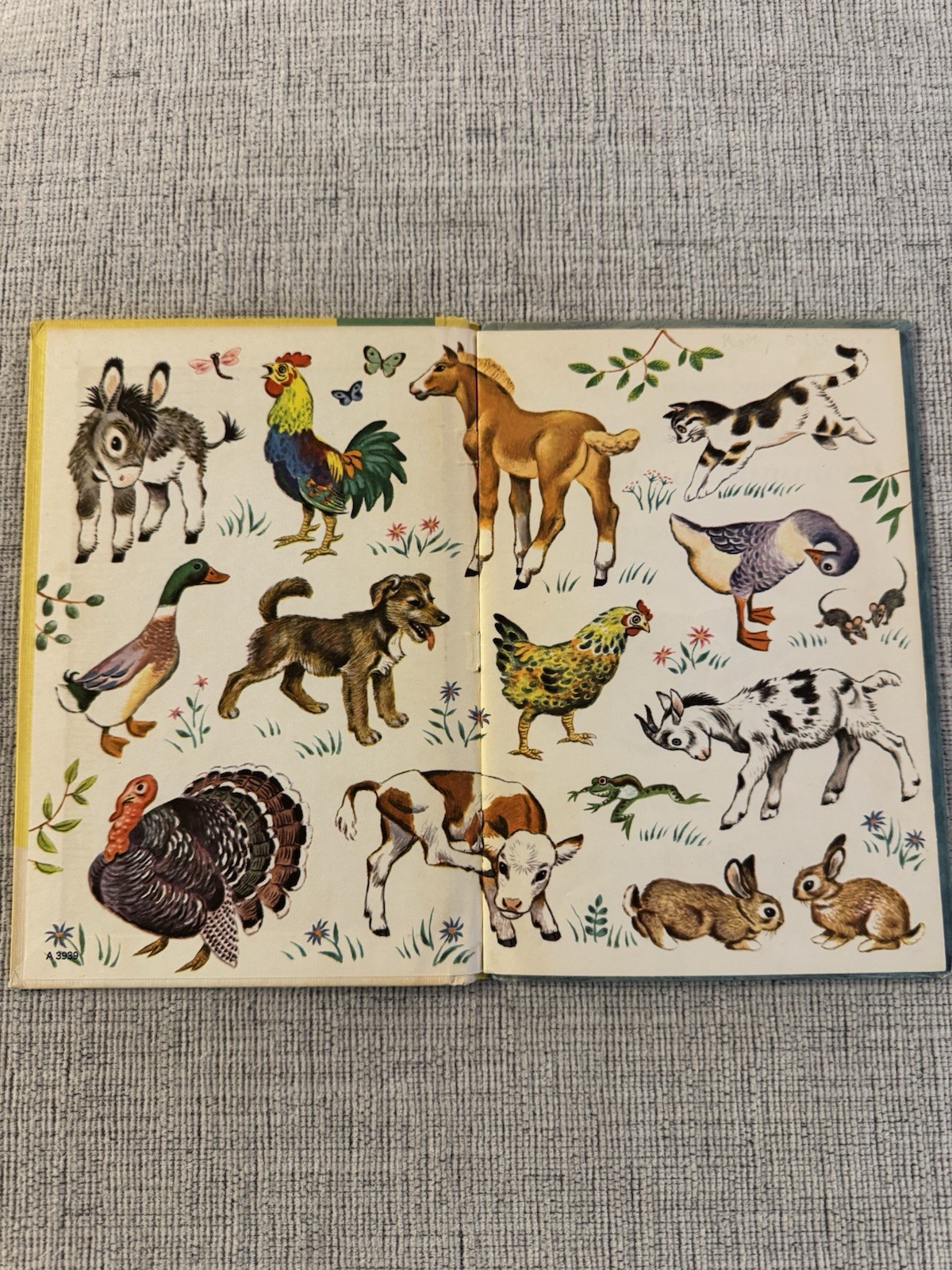 The Animals Search for Summer 1960 Golden Read-It-Yourself HC Gerda Muller