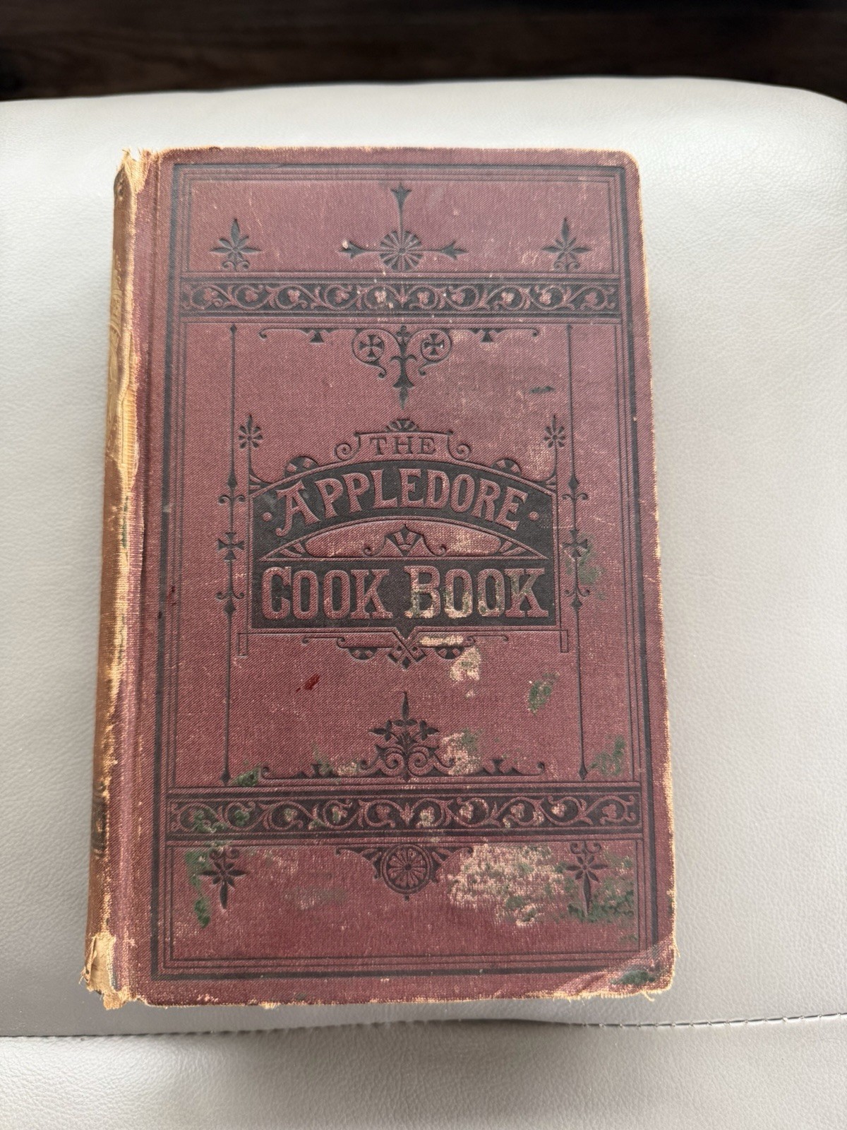 The Appledore Cookbook Practical Receipts 1880 Hardcover Vintage Rare Antique