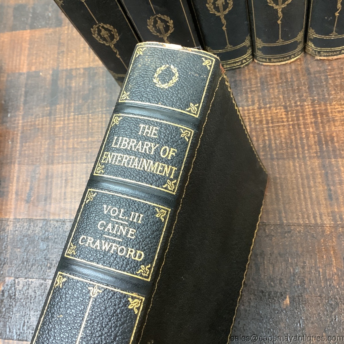The Stoddard Library of Entertainment 8 Various Volumes Blue Gold Leather Bound
