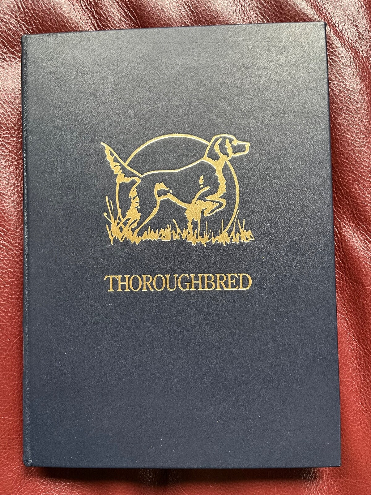 Thoroughbred, by Burton Spiller, 1993, Premier Press, 1164/3000