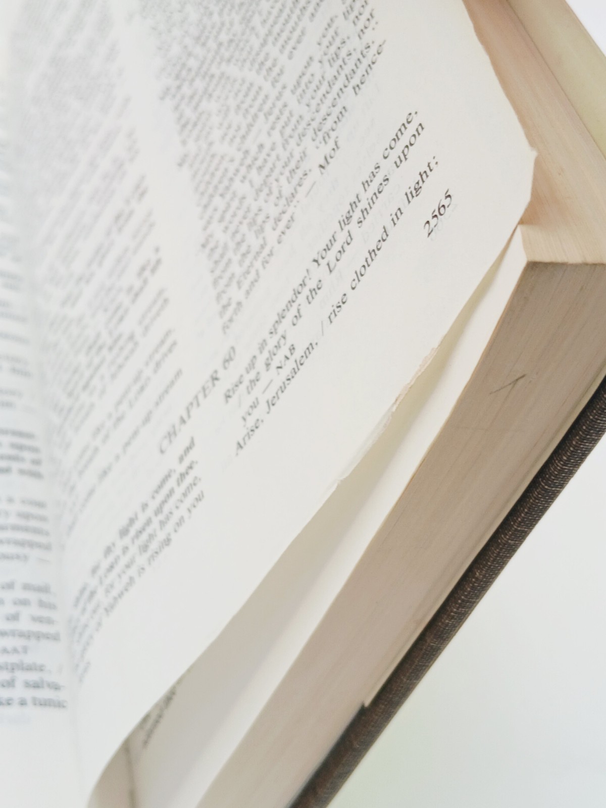 26 Translations of the Holy Bible Volumes 1-3 ACCEPTABLE Condition, Tear Pages.
