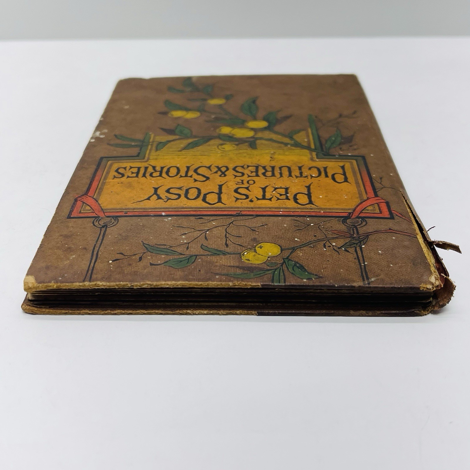Pet’s Posy of Pictures & Stories 1800’s Antique Victorian Children’s Book HC