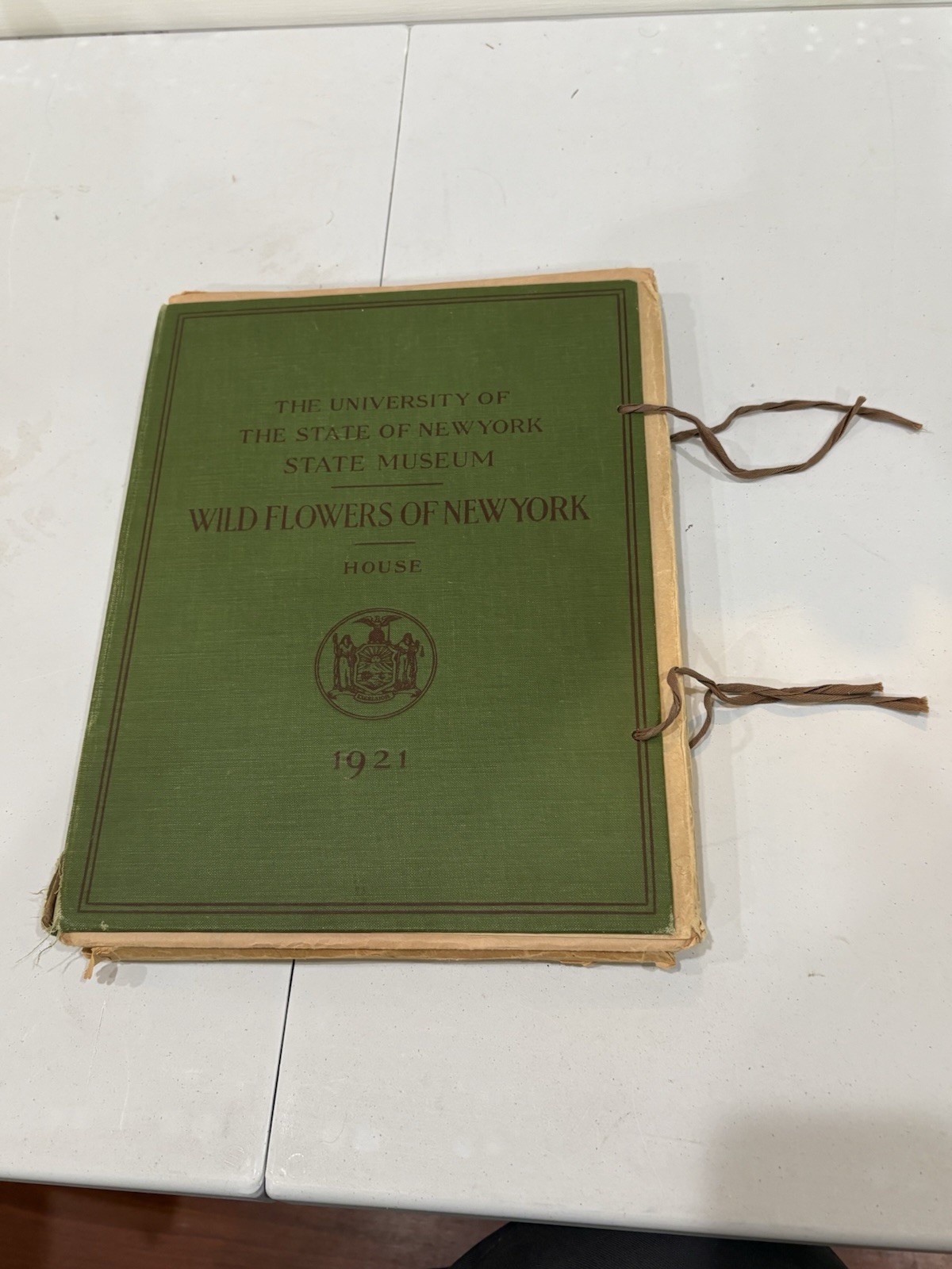 Wild Flowers of New York Rare 1921 first edition