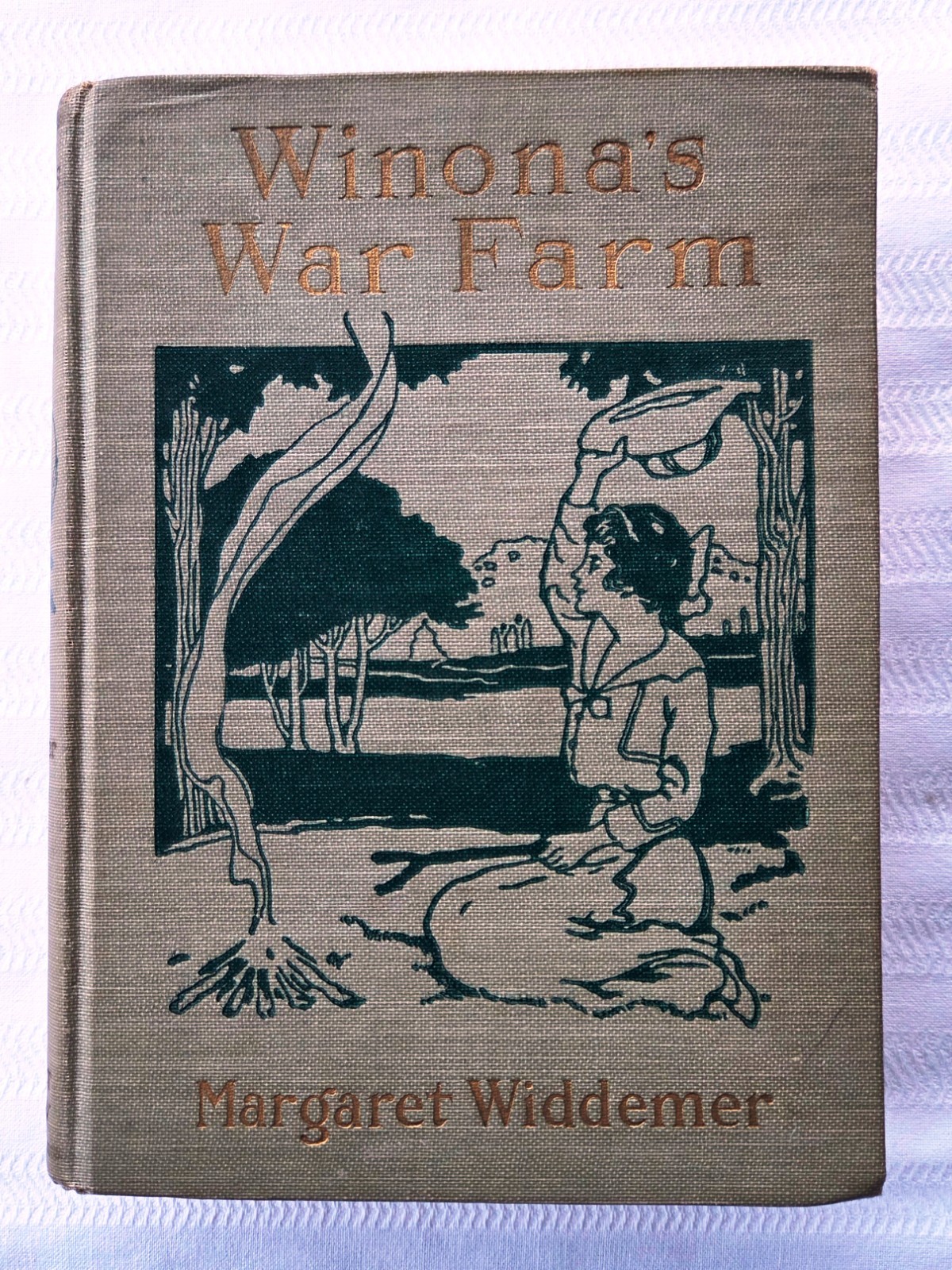 Winona’s War Farm – Rare 1918 Margaret Widdemer Book Juvenile Fiction – SIGNED