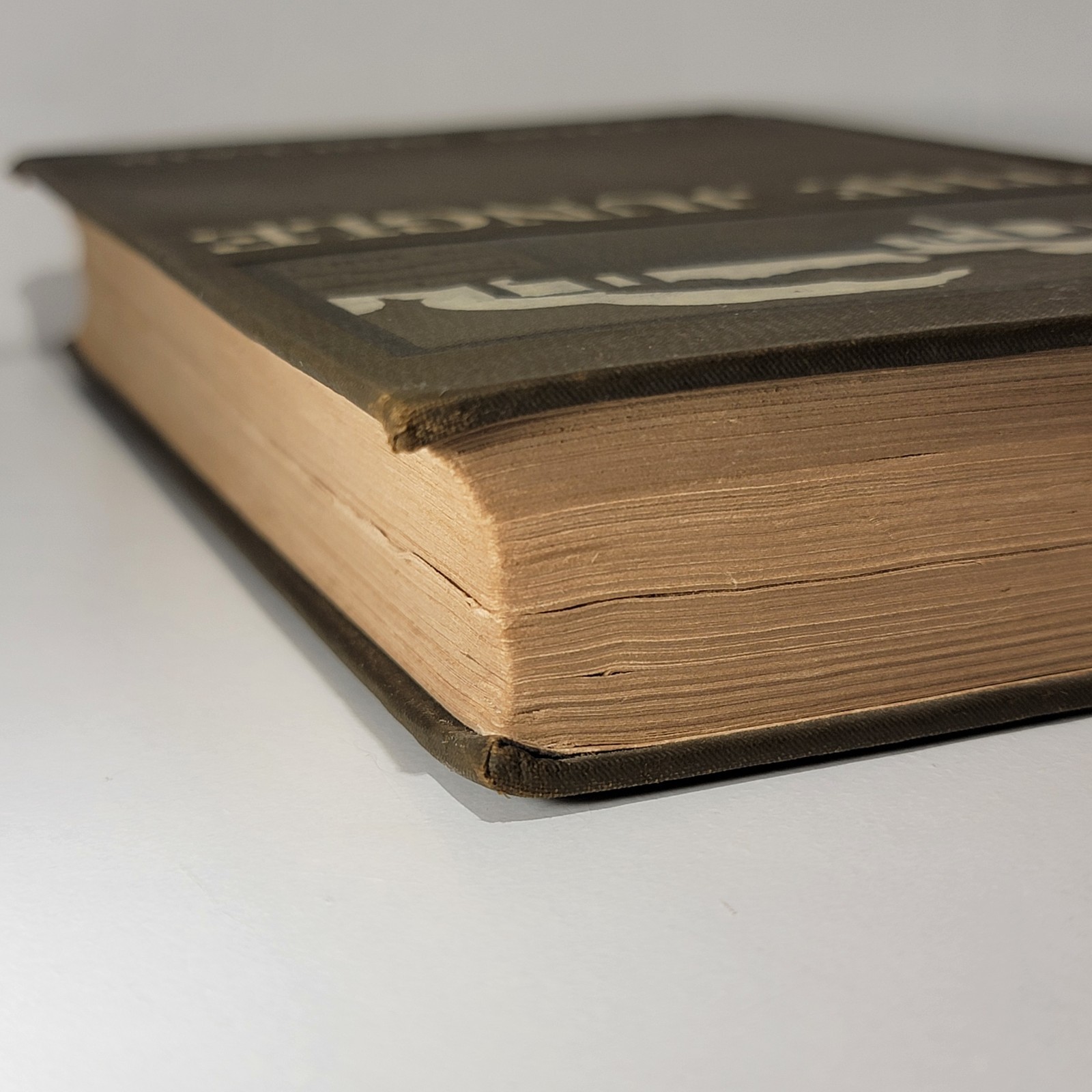 The Jungle by Upton Sinclair First Edition 1906, Doubleday, Page & Company