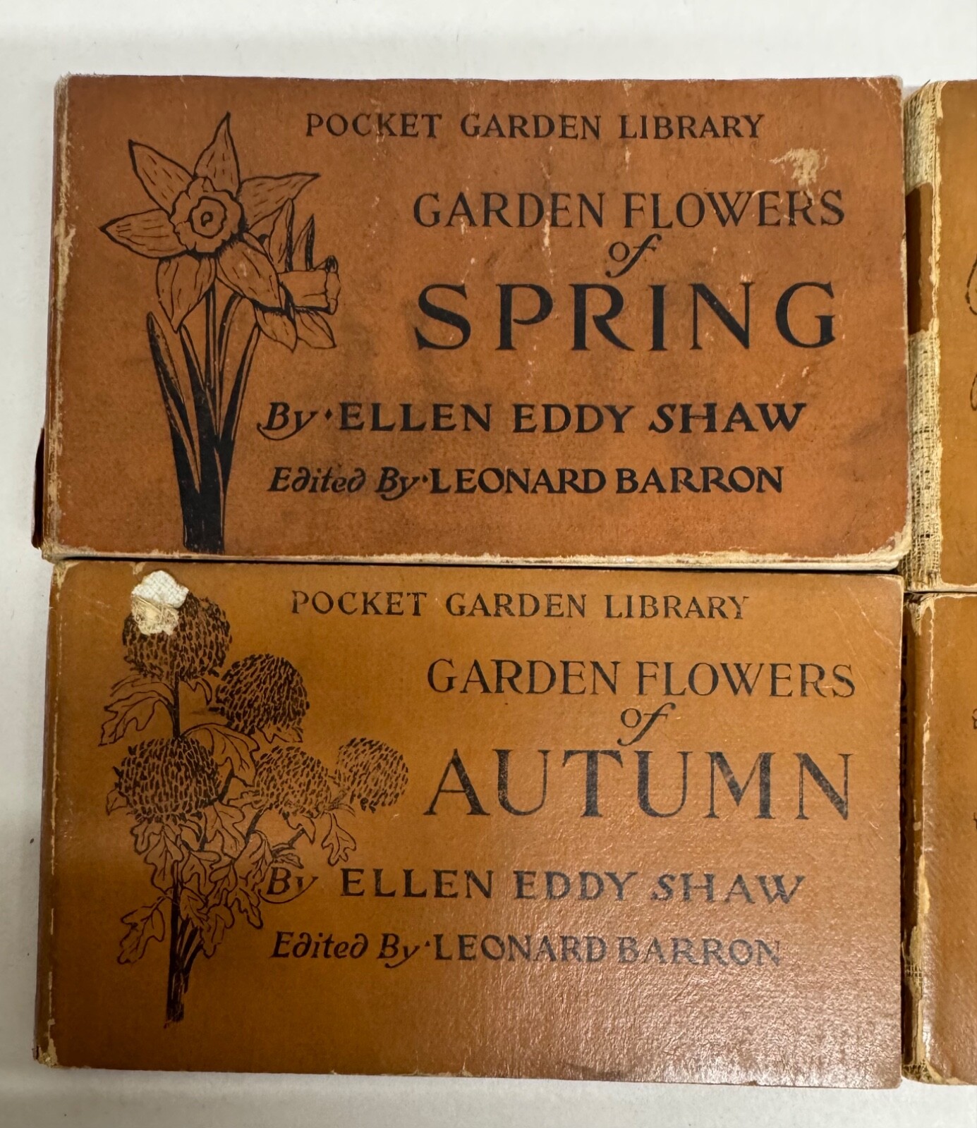 Pocket Library Garden Library 4 Seasons Ellen Eddy Shaw 1917