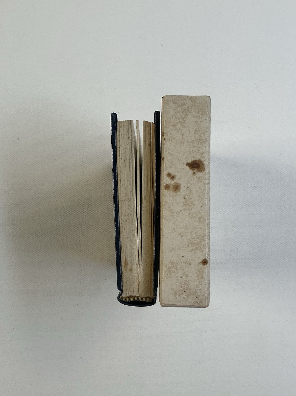 The Master of Mary of Burgundy Book of Hours 1970 Braziller Letter Illuminated