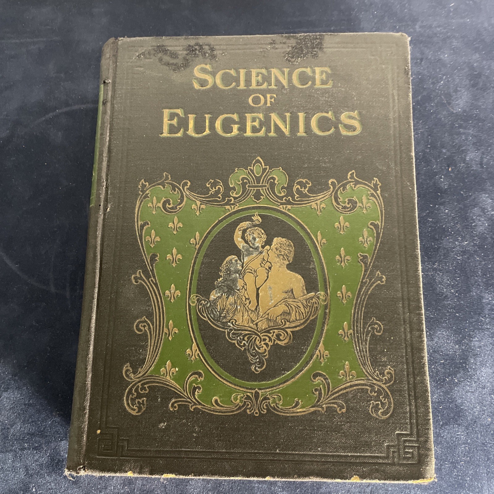 Vintage 1914 The Science of Eugenics & Sex Life Book Illus. Antique Hardcover