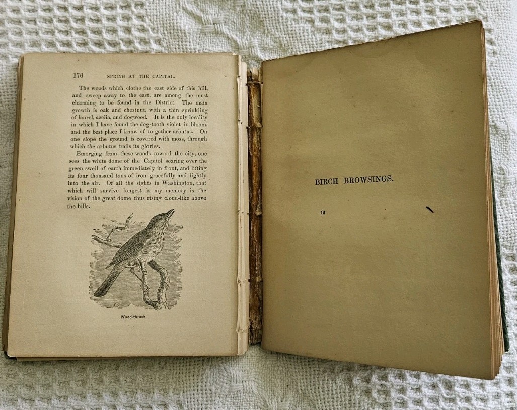 1877 SIGNED ~ WAKE ROBIN by John Burroughs 1st Essay Comp. Signed By Author RARE