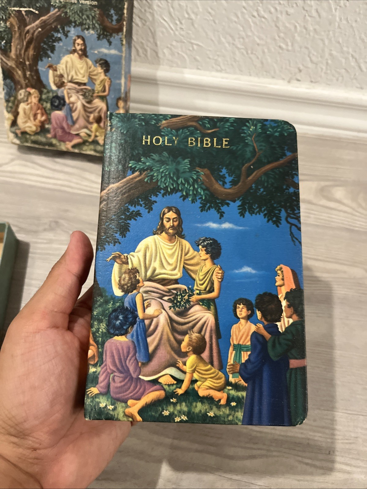 The Rainbow Bible King James Version For Young People 603 Worn