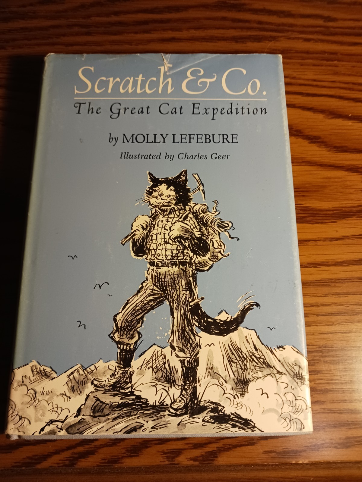 Scratch & Co The Great Cat Expedition By Molly Lefebure (1ST US EDITION)
