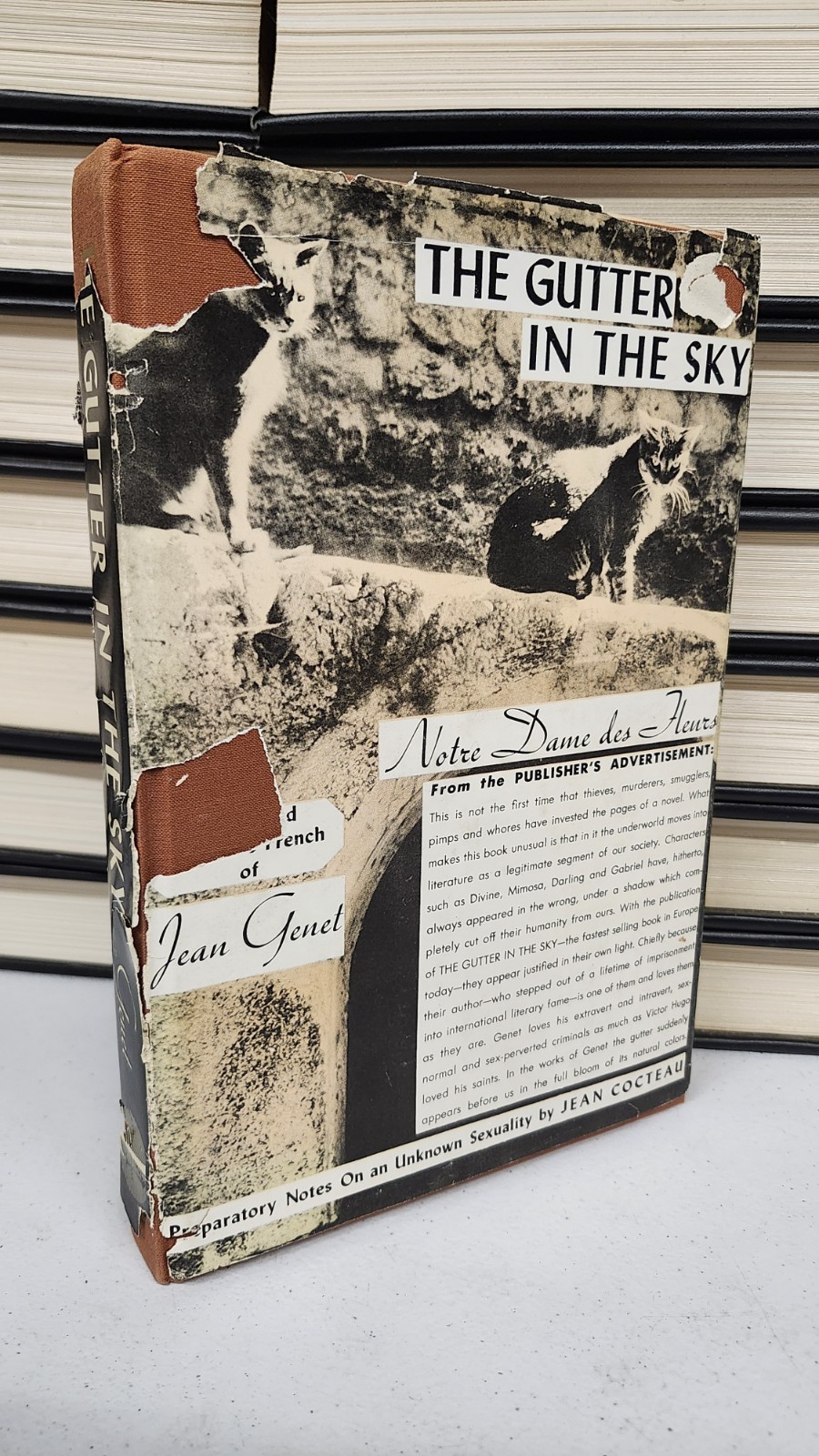 Jean Genet Jean Cocteau Gutter in the Sky 1955 First American Edition