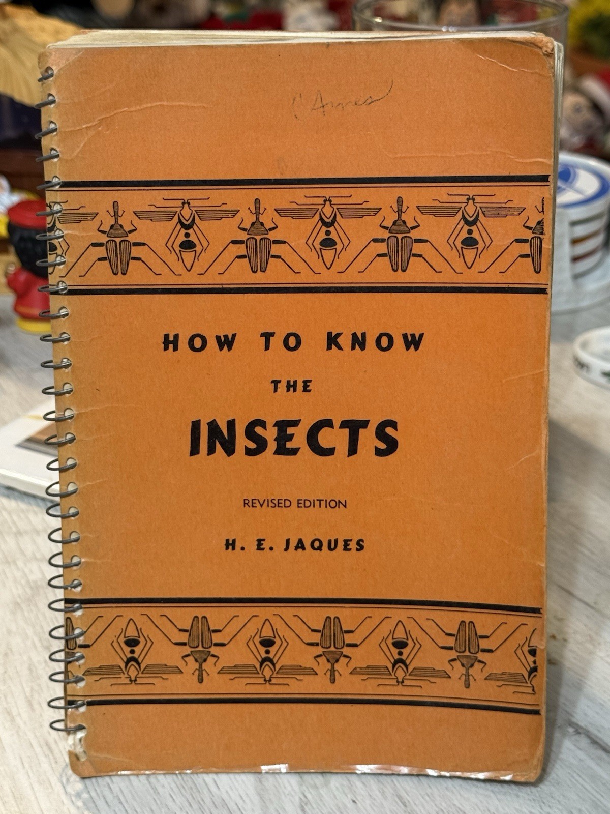 HOW TO KNOW THE INSECTS. H.E. JAQUES. 1947 Spiral Bound Softcover 2nd Edition