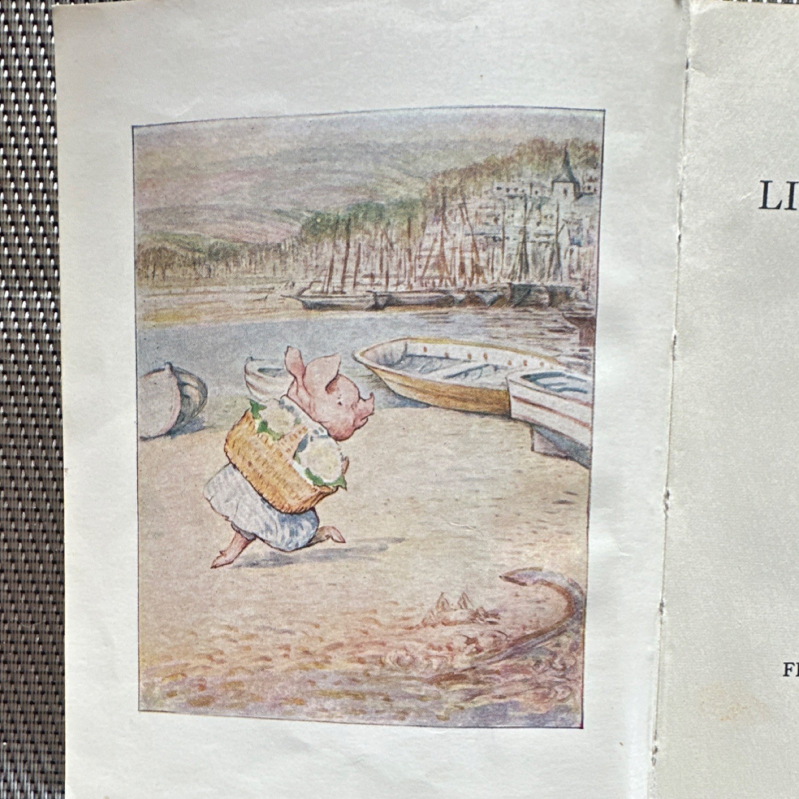 Beatrix Potter Frederick Warne Illustrated Children’s Fantasy Hardcover Little …