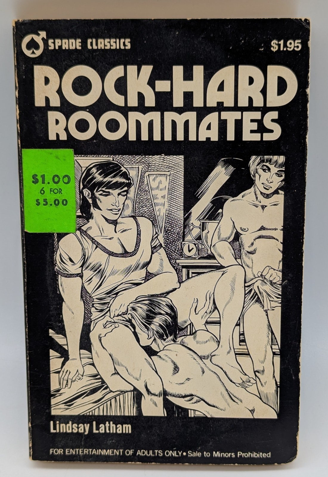 1973 Rock-Hard Rommates Lindsay Latham Gay Pulp Paperback Spade Classics