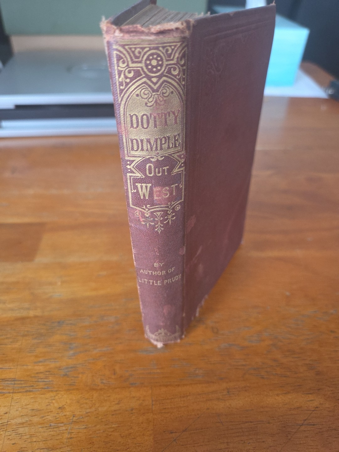 DOTTY DIMPLE OUT WEST BY Sophie MAY VINTAGE BOOK