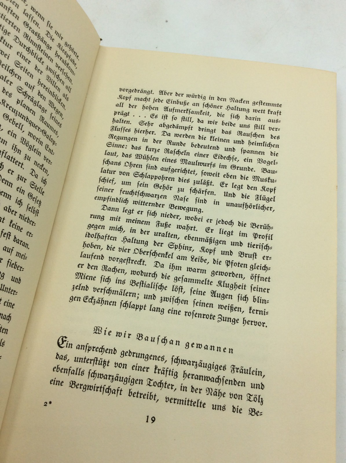 HERR UND HUND – Thomas Mann – 1925 – German illustrated – fiction