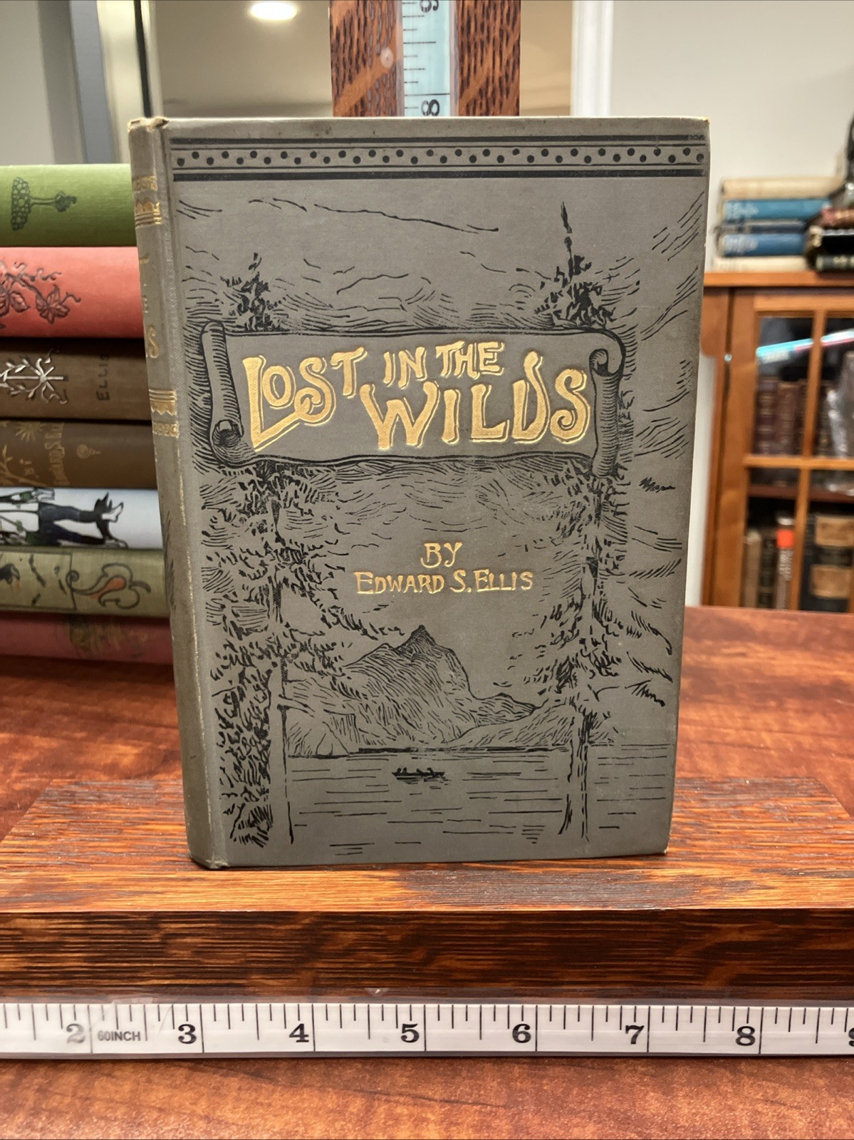 Lost In The Wilds – Edward Sylvester Ellis