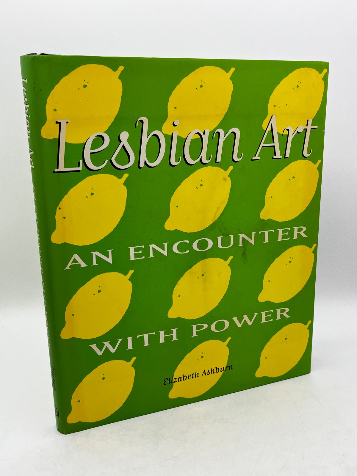 Lesbian Art: An Encounter with Power – Elizabeth Ashburn 1996 1st Edition HB DJ